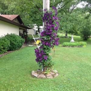 Meet your Posher, Bonnie